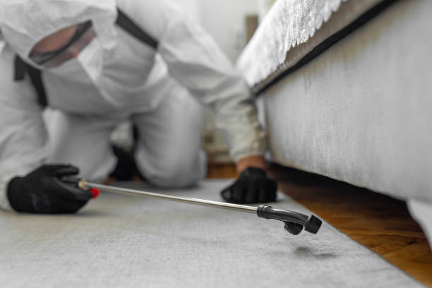 Professional Termite Control technician working in Hutto, TX